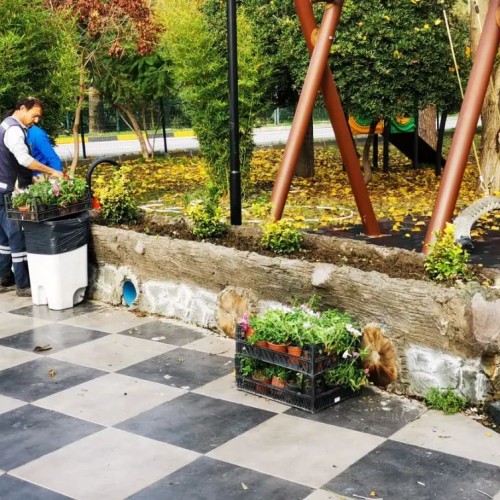 Park ve Bahçeler Müdürlüğümüze bağlı ekiplerimiz Şehit Mehmetçik Parkına çiçek dikimi yaptılar. 